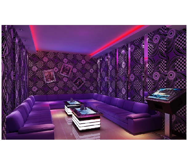 我國(guó)專業(yè)音響的發(fā)展前景